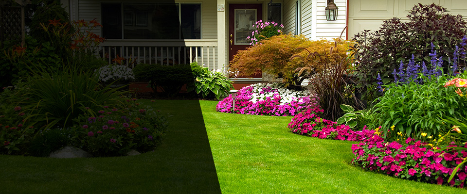 Oak Hill Landscapers