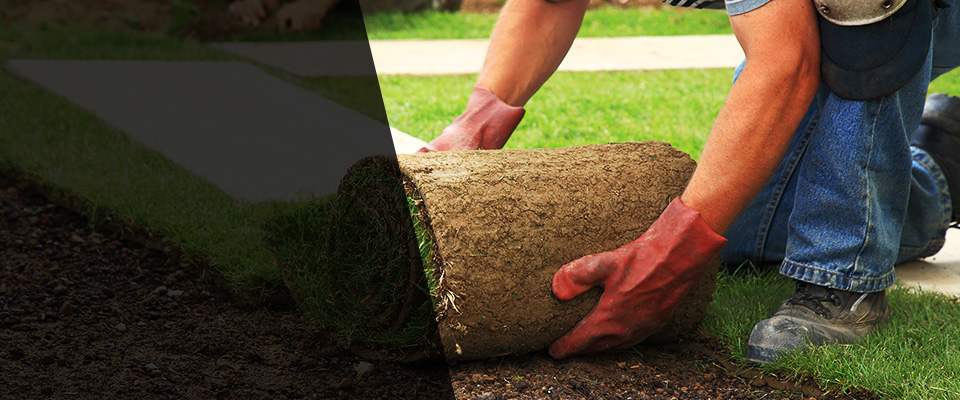 Oak Hill Landscapers